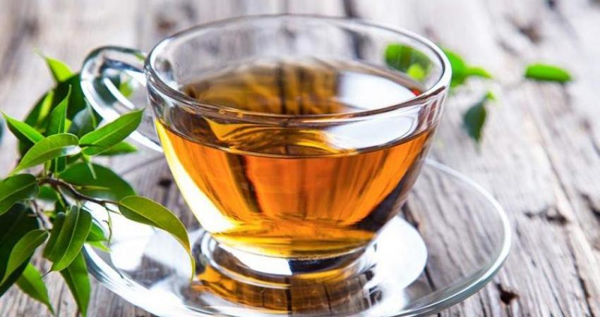 الشاي الاخضر