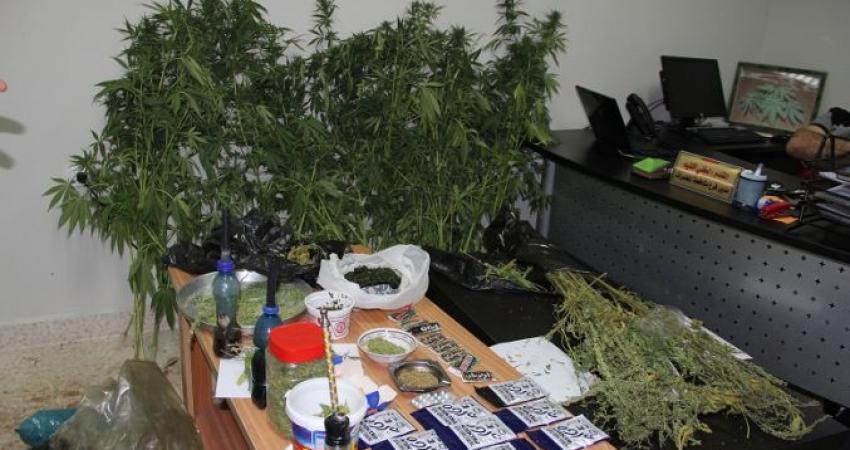 img-7423-jpg-69344350333164414