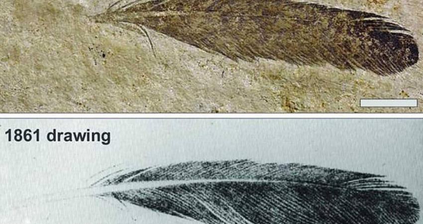 1-1224778
