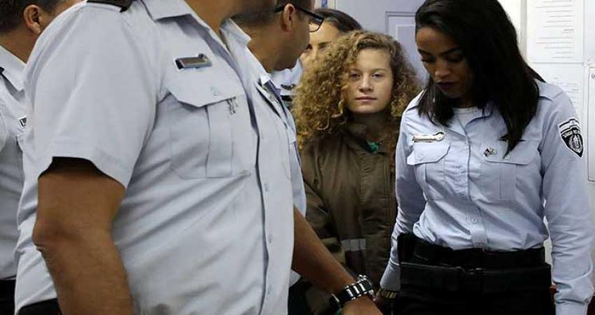 ahed11