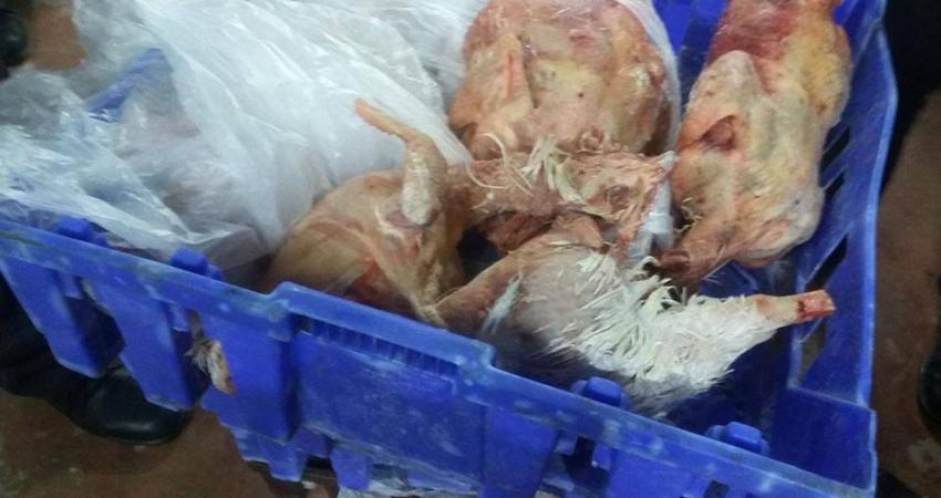 13417475_1177446118964508_4616879858705751654_n