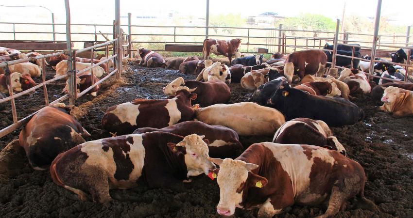 0173238022c4978323d2bbfc94d5e970