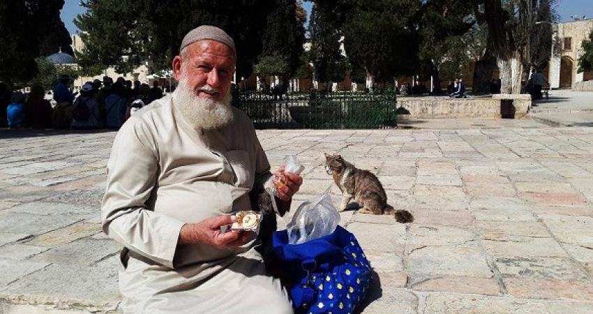 لائحة اتهام بحق 7 مسنين وابعادهم عن الاقصى