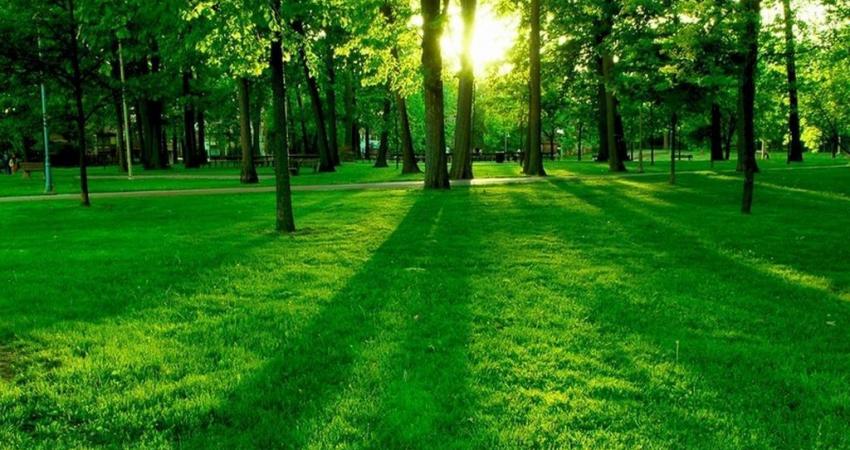 green-land-hq-high-quality-homepage-222314