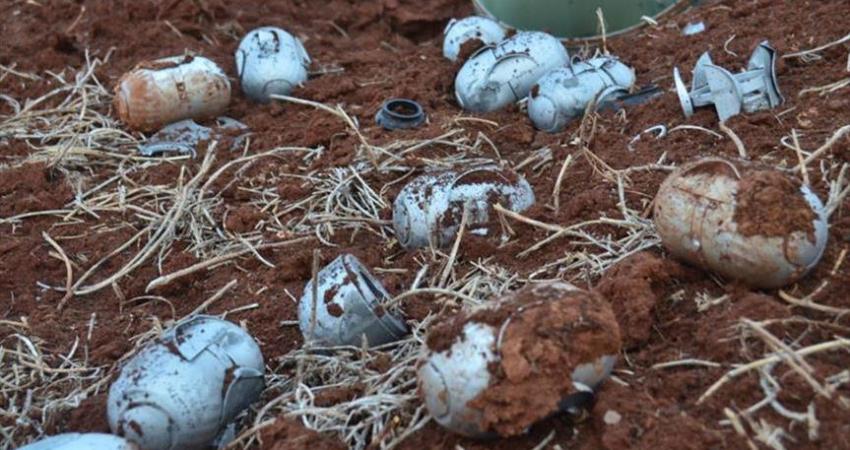 الجيش الإسرائيلي يشتري مدافع تطلق قنابل عنقودية