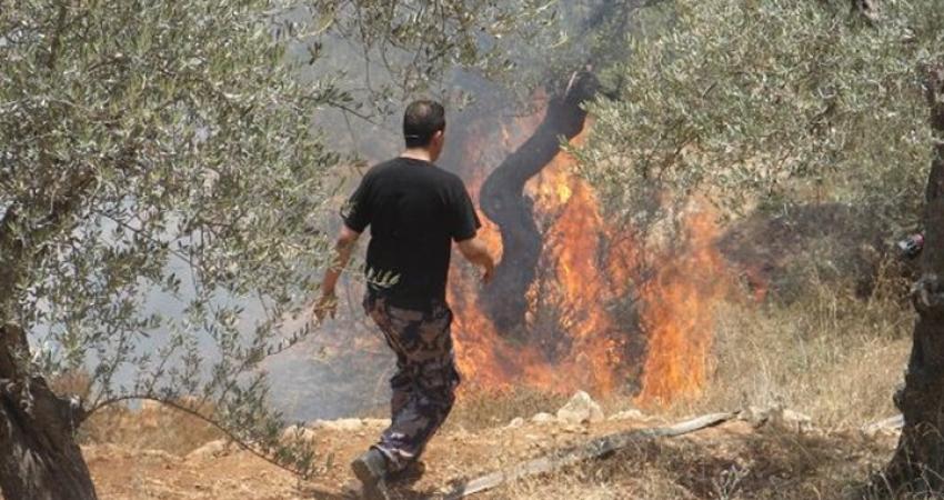 دعا عضو الكنيست العربي باسل غطاس إلى فتح تحقيق ضد اليهود الذين يحرضون عبر مواقع التواصل الاجتماعي على احراق القرى والبلدات الفلسطينية . وأضاف غطاس في تصريح نقله اليوم موقع 