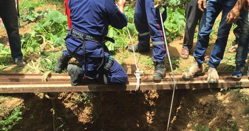 أعمال إنقاذ المسن