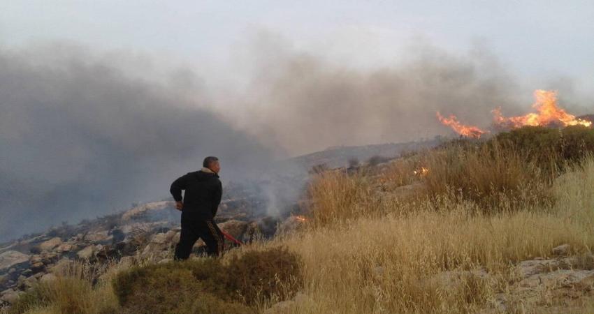 af0aa2d8a4dcb9dc2501bfd1d15030eb