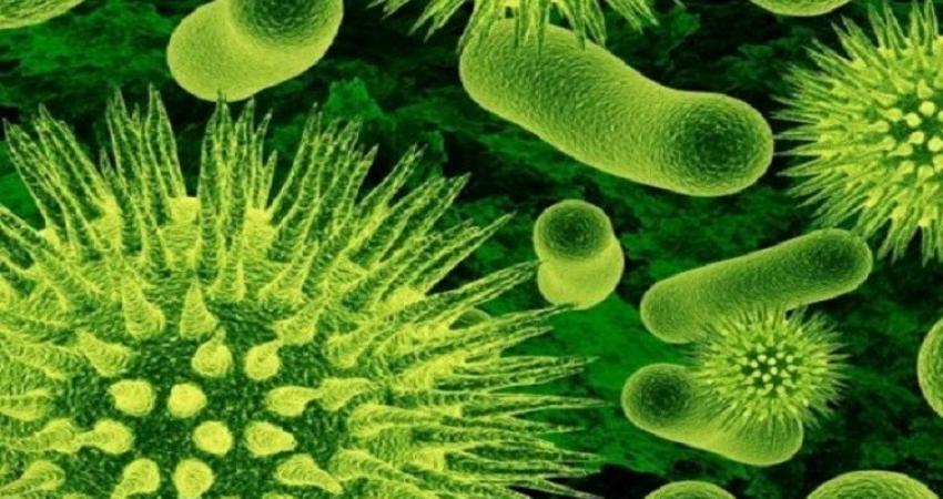 أطباء يكتشفون باكتيريا تقضي على العدوى