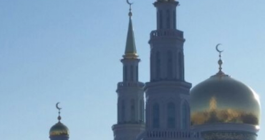التقاط