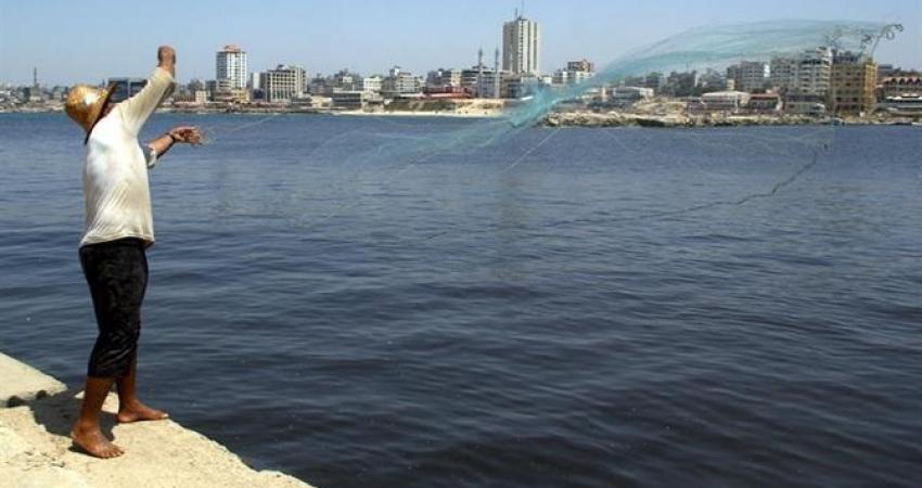 الشرطة البحرية تضبط 420 كيلوغرام سمك فاسد