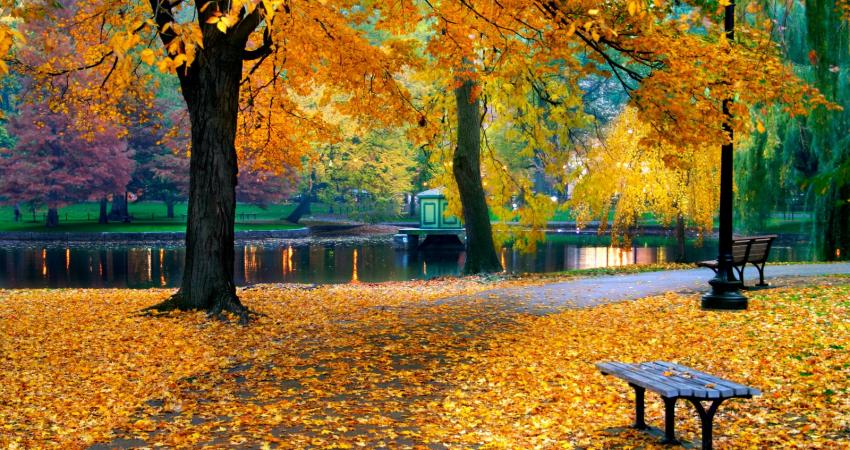 beautiful-autumn (22)