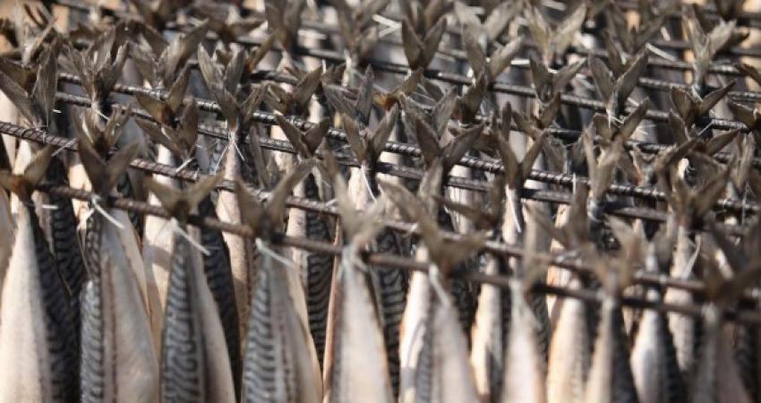 image_1467844477_25739088