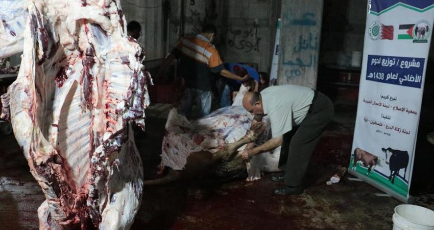 thumbnail_21231644_1390604767723123_1386738638258806051_n