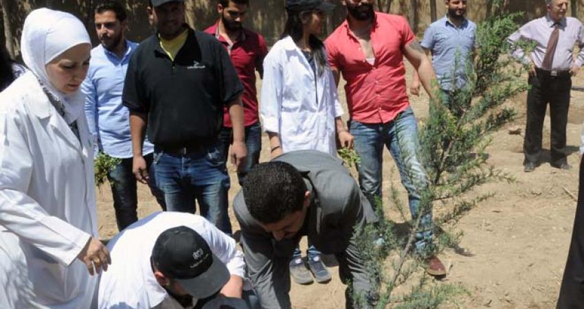 الزراعة: إطلاق حملة تشجير جديدة في المحافظات الجنوبية