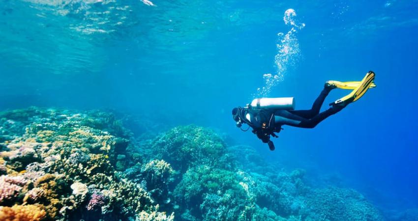 Bunaken-diving