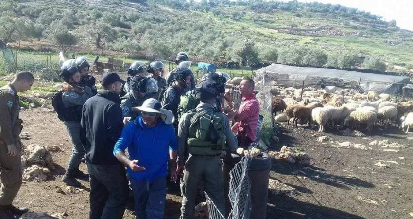 سلفيت: هدم خيام سكنية وحظائر أغنام 