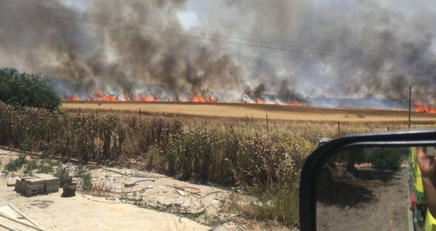 13092077_483140871892407_1252128412309656193_n