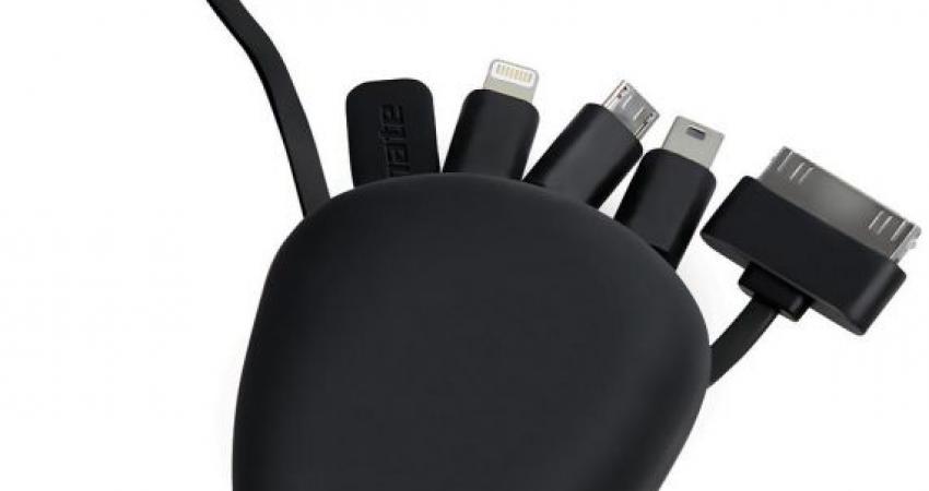 item_XL_9566128_10878423