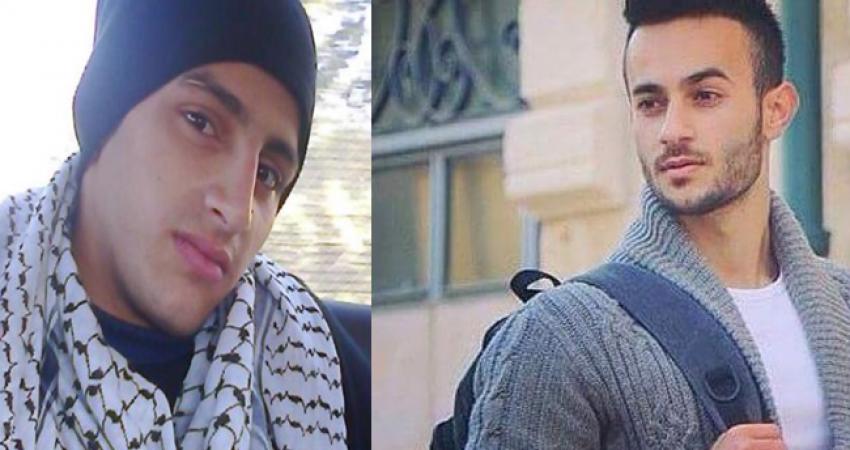 بدون عنوان-1