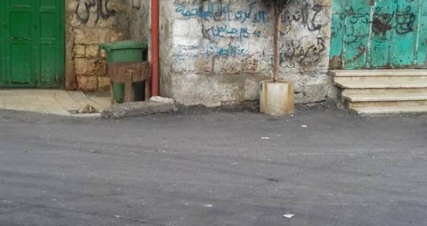 14639638_1611856215523459_2405673891760448930_n