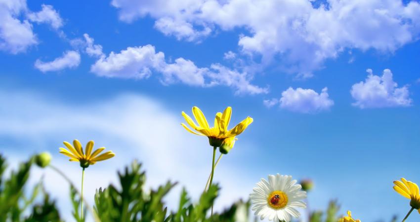 84b232d8-b6dc-4a76-918f-64b53808c011 (1)