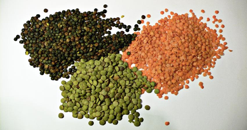 3_types_of_lentil