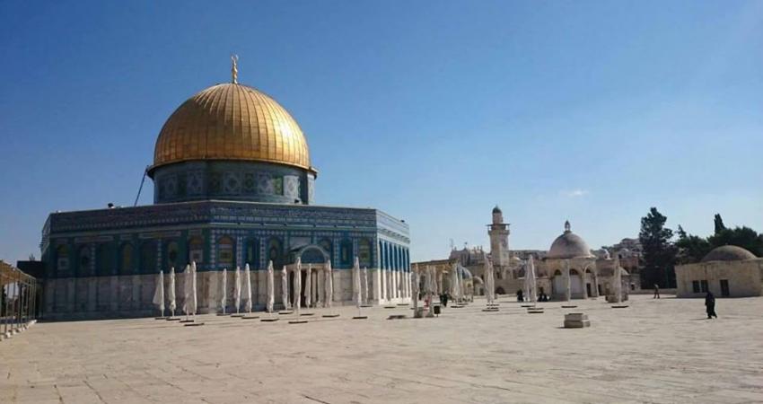 13076884_1388282617880821_1008679293695066160_n