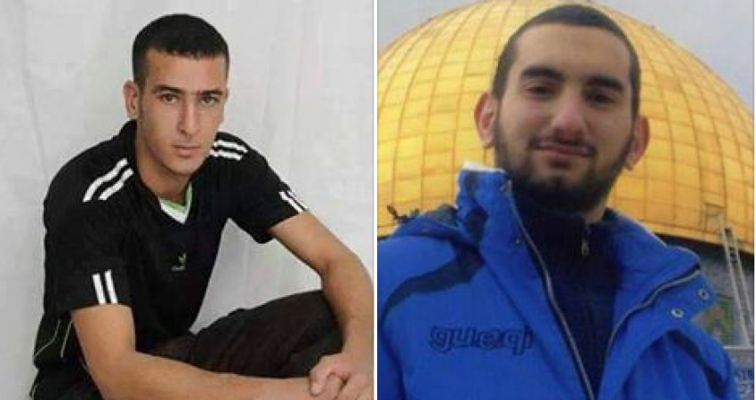 الأسيران رجبي وشاويش