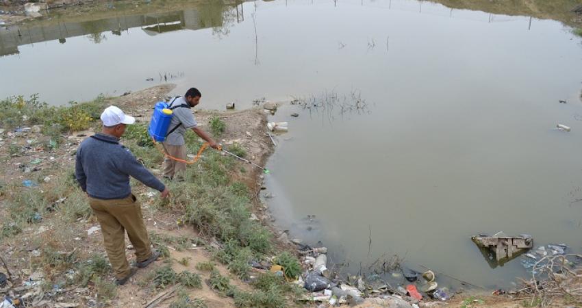 مكافحة البعوض في القرارة