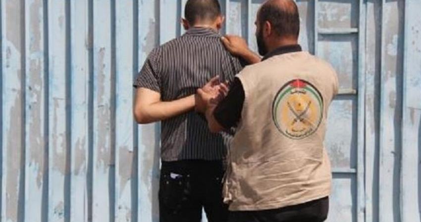 مباحث الزيتون