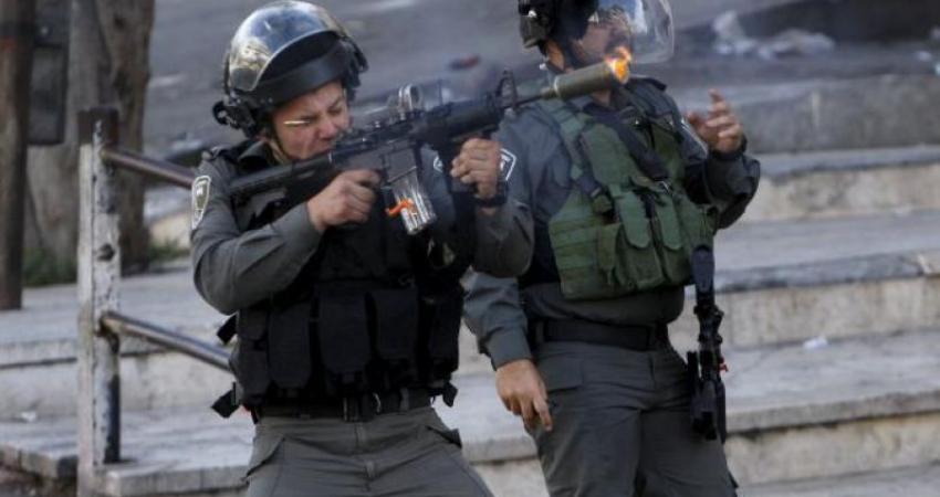 شرطة الاحتلال8