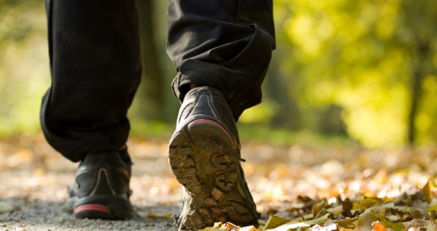 5-15-14-walking-kidneyistock_000014635914small