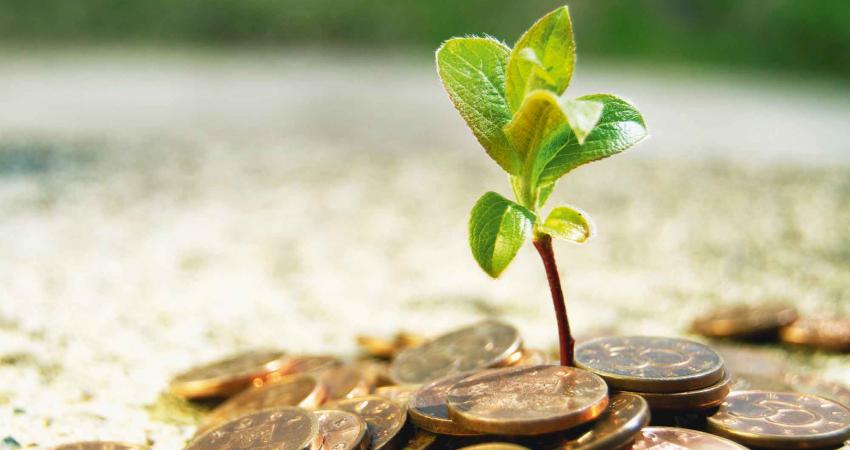 صدقة الفطر ثمانية شواقل