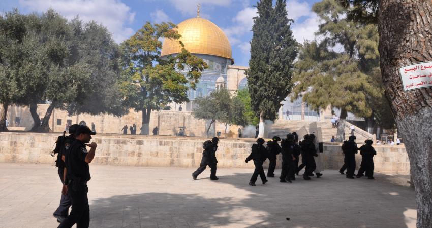 3e269c43a30a9726da32fdf6de44ae09