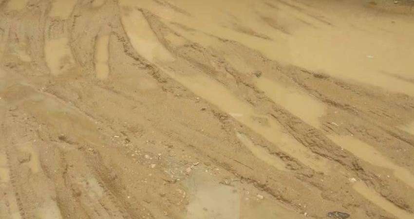 12744467_1315981531777597_864017335342456376_n