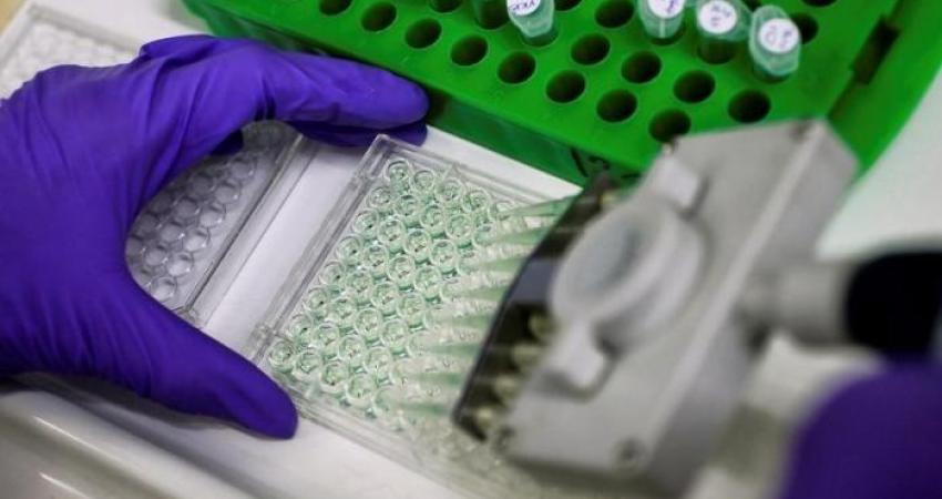 78-154035-egyptian-cancer-treatment_700x400