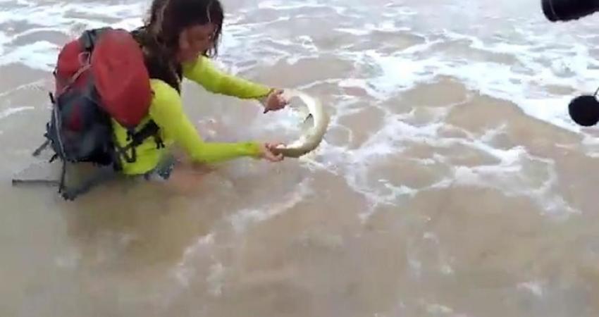 5 آلاف يورو غرامة بسبب صورة مع قرش!