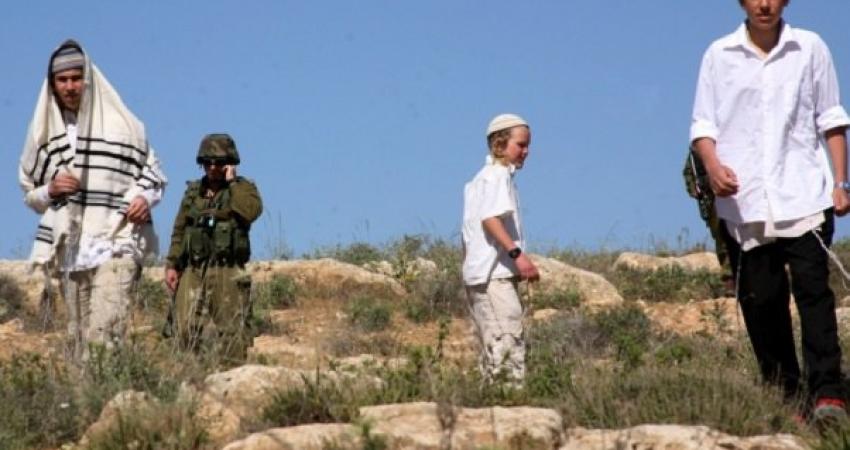 مستوطنوسلعيت ومسكيوت يستولون على أكثر من300دونم قرب خلة حمد في الأغوار