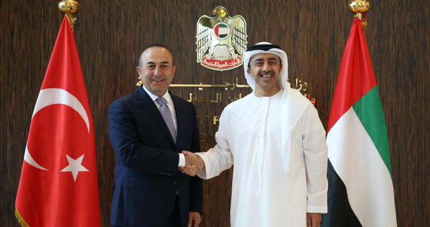 وزير الخارجية الإماراتي مع وزير الخارجية التركي