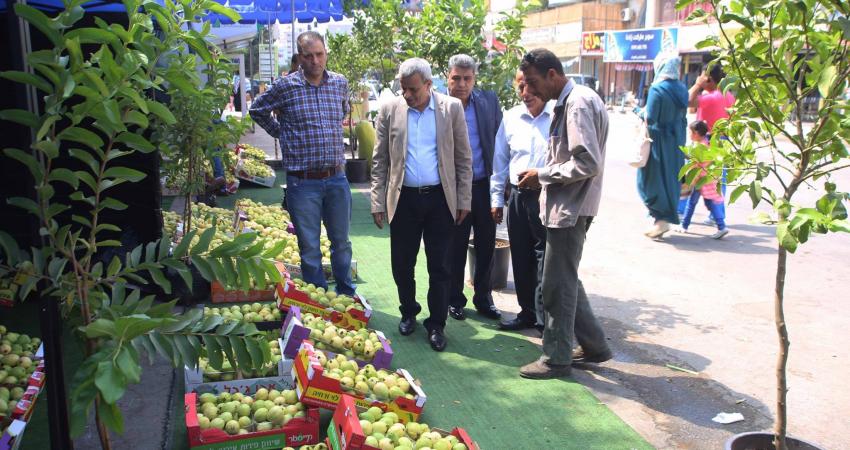 بدء تصدير الجوافة من الضفة إلى الأردن