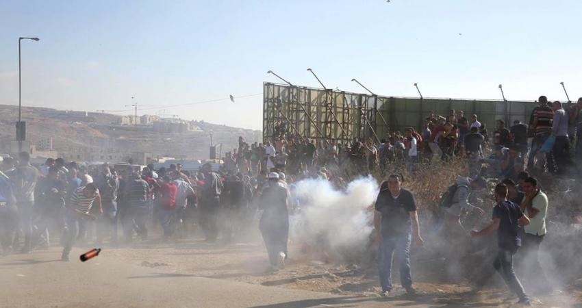 13528893_1439050082804074_3617068160275051001_n