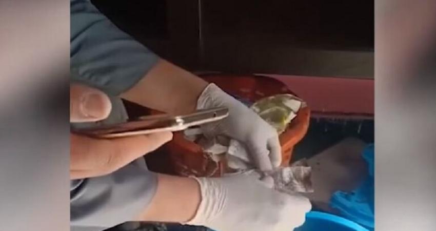 5e5d10eb4236041ee10e12ef