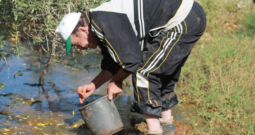 أغرقت قوات الاحتلال الإسرائيلي، أراضي زراعية في قرية بيت تعمر شرق بيت لحم بالمياه العادمة.  وقال ممثل هيئة مقاومة الجدار والاستيطان في بيت لحم حسن بريجية  إن 