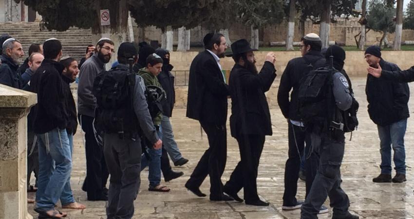 مستوطنون يجددون اقتحامهم للأقصى وتحذيرات من فعاليات مشبوهة غدا
