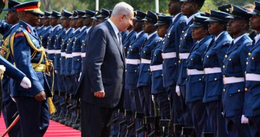 free-2929638973457615294