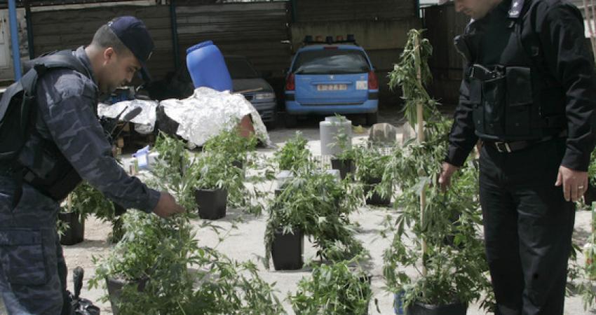 مخدرات بالضفة