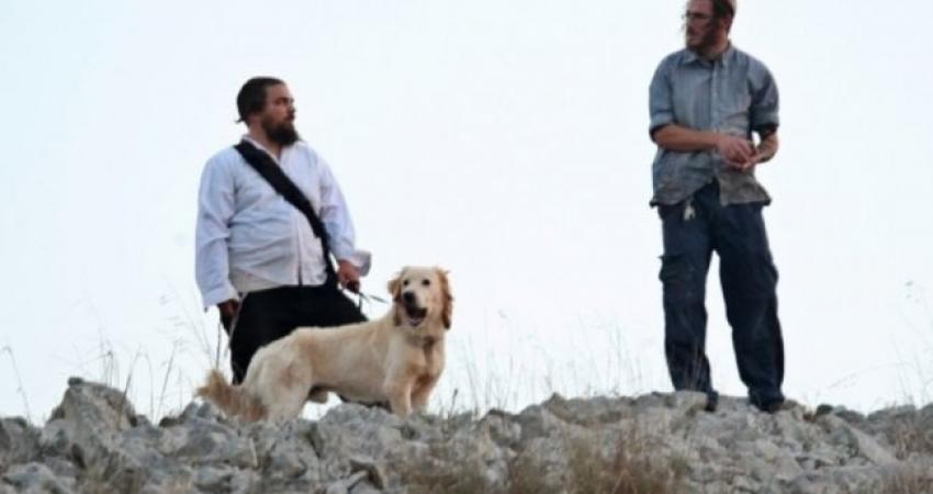 محاولة اختطاف طفل على يد مستوطن ببيت لحم