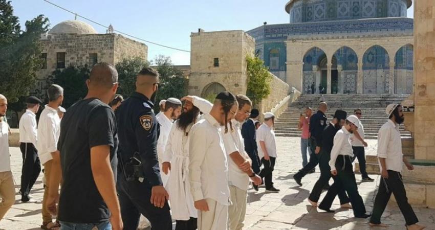 مستوطنون يؤدون رقصات استفزازية
