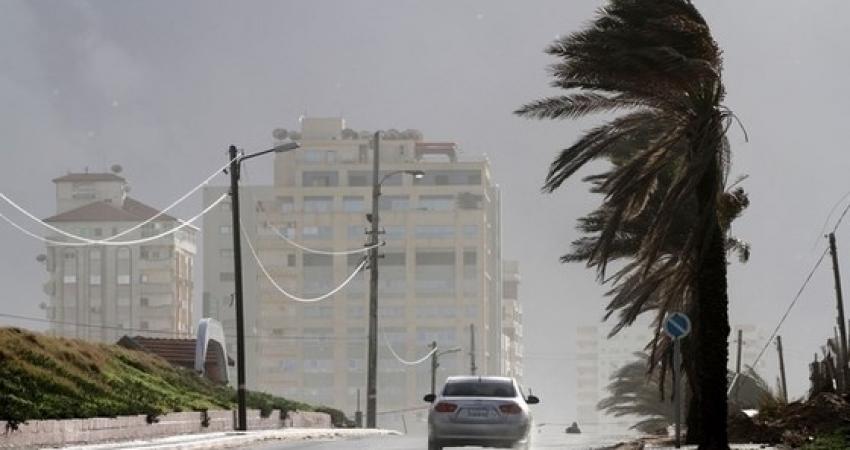 palestinetodayـ_غزة_(2)